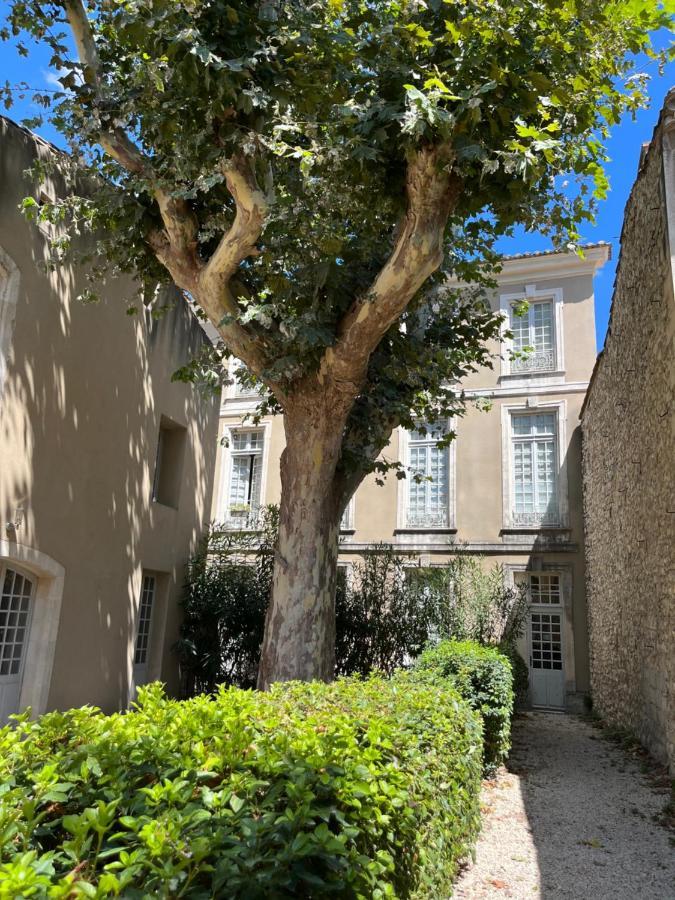 Superbe Appartement De Charme A 10Mn De Saint-Remy Noves Buitenkant foto